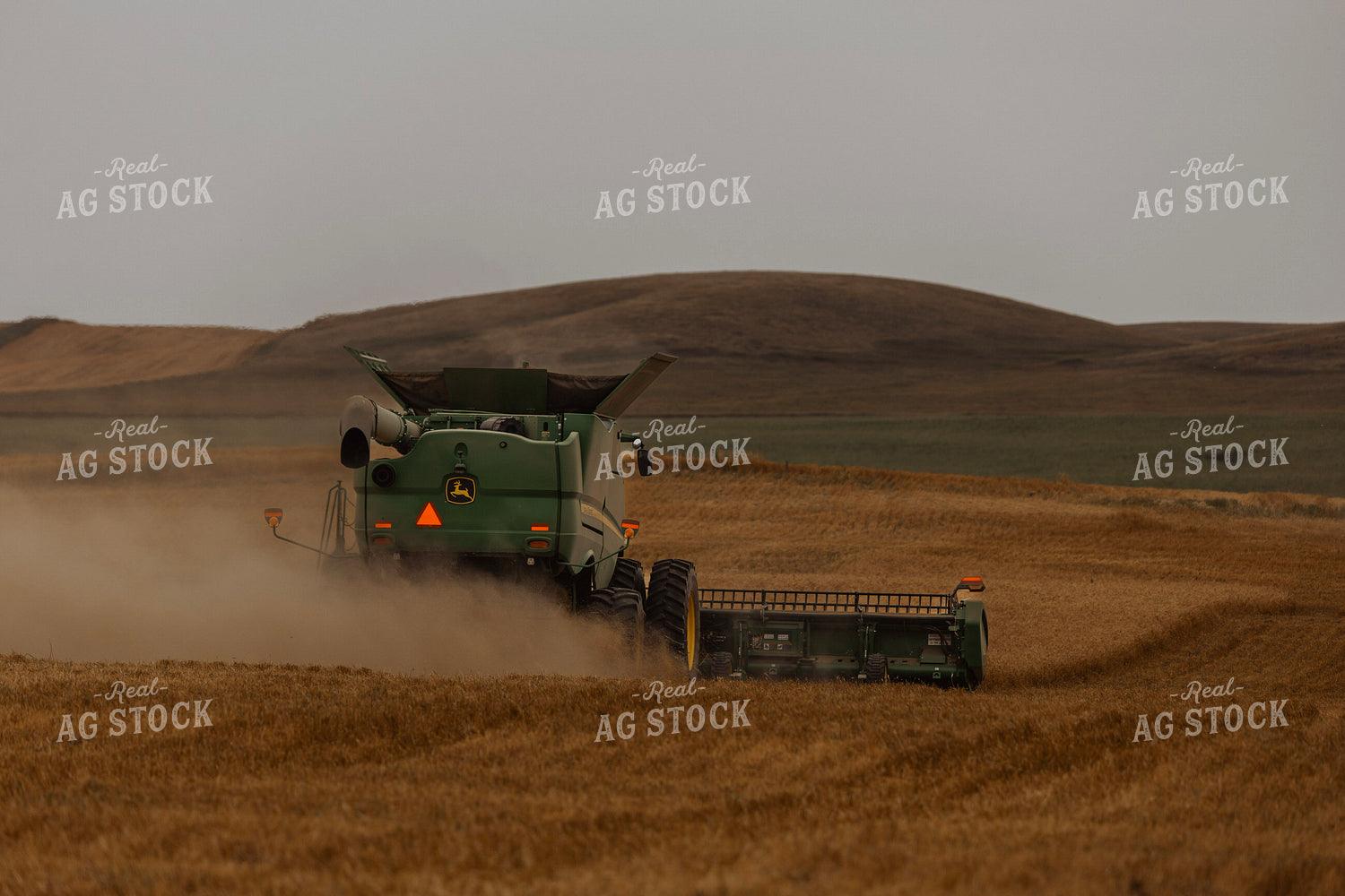 Wheat Harvest 187183