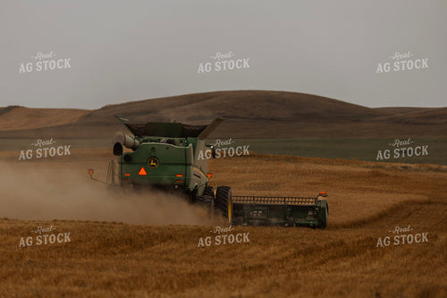 Wheat Harvest 187183