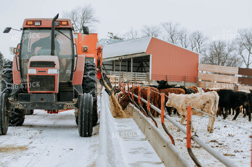 feed mixer Dispensing Feed 77149