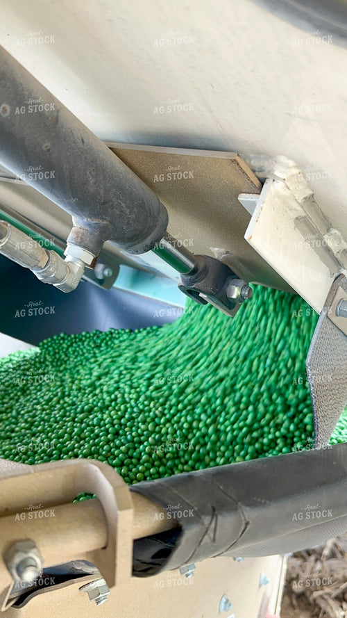 Treated Seeds 84150