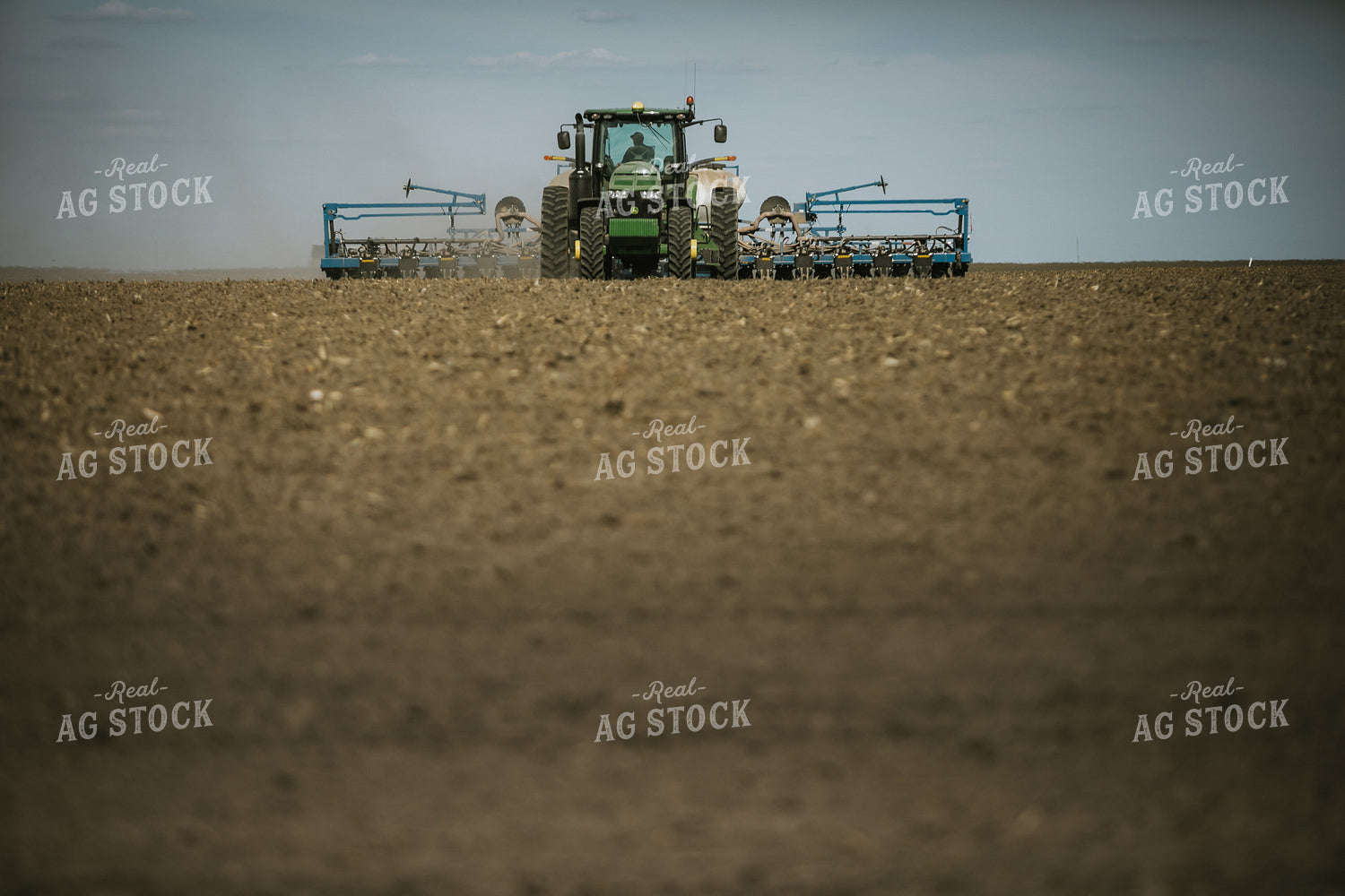 Planting on a Sunny Day 4141