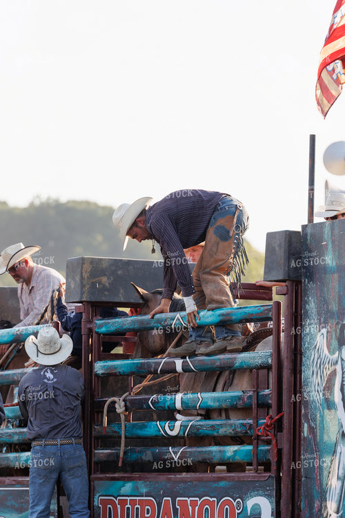 Rodeo 295133