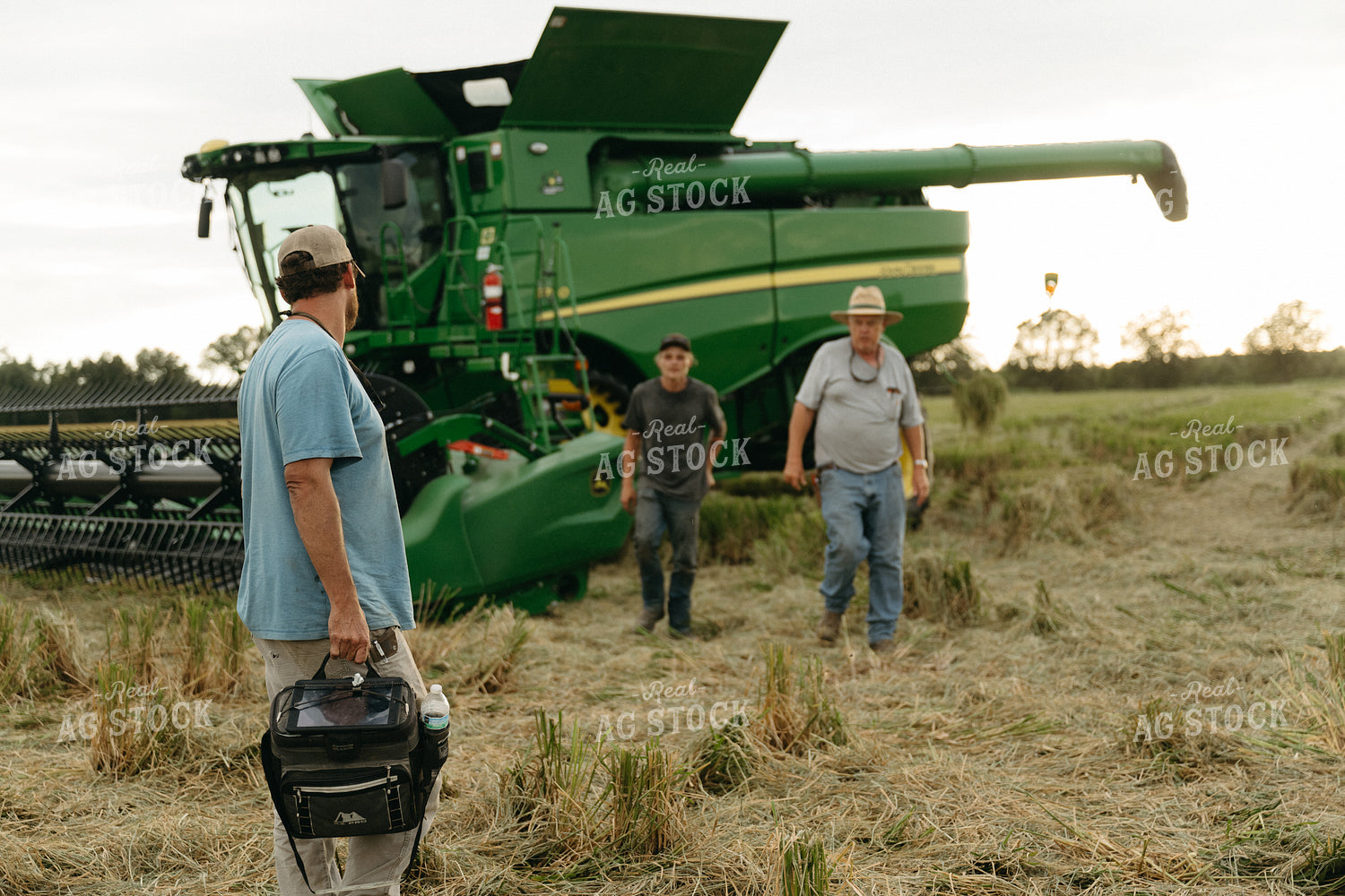 Farmers by Combine in Rice Field 125273