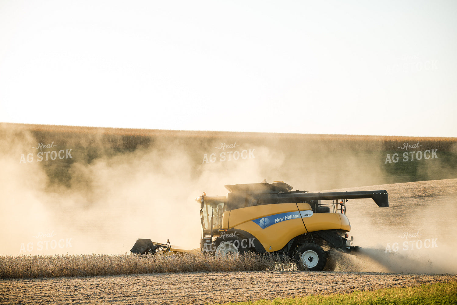 Soybean Harvest 215120