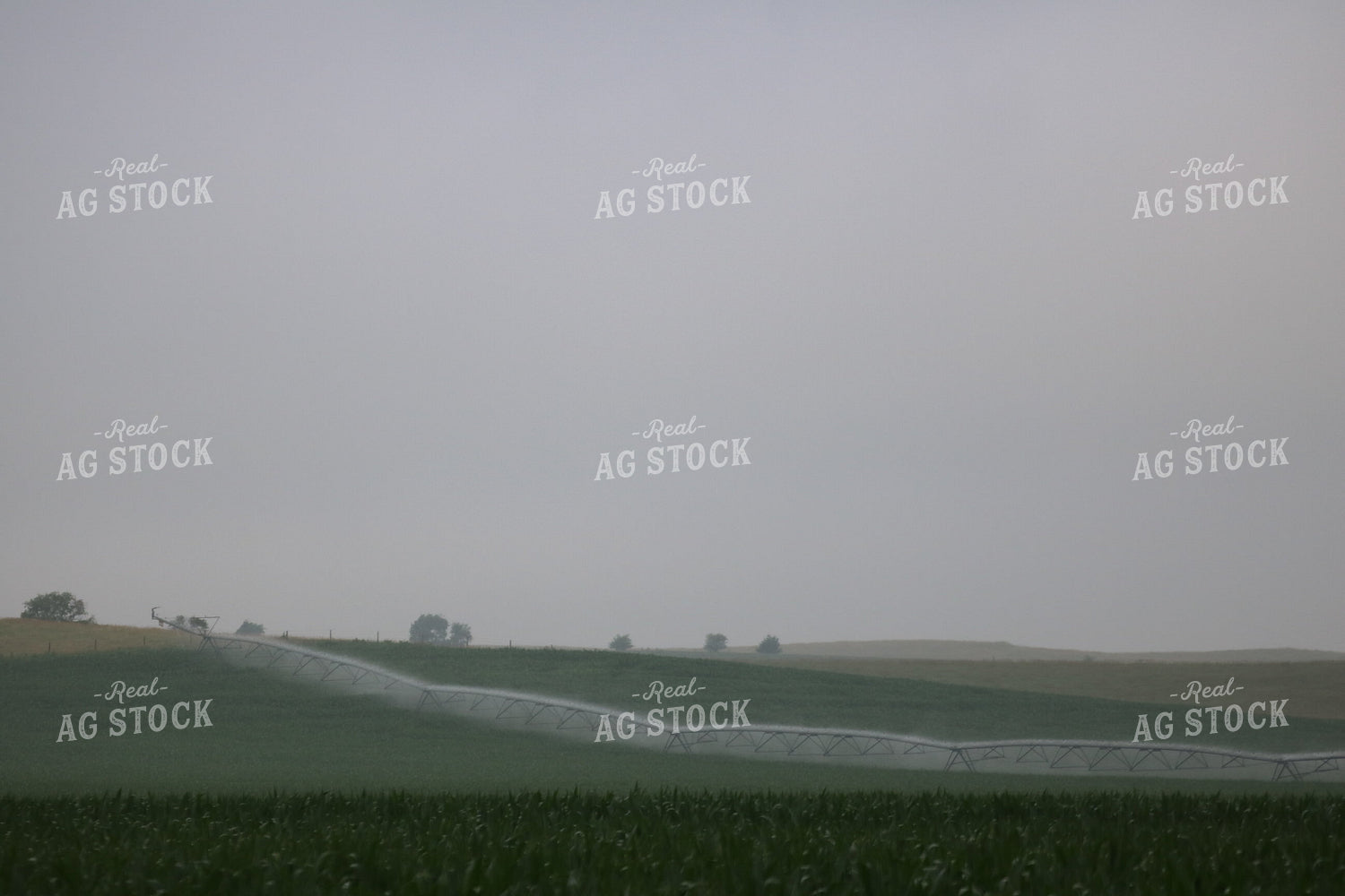 Irrigation System 82016