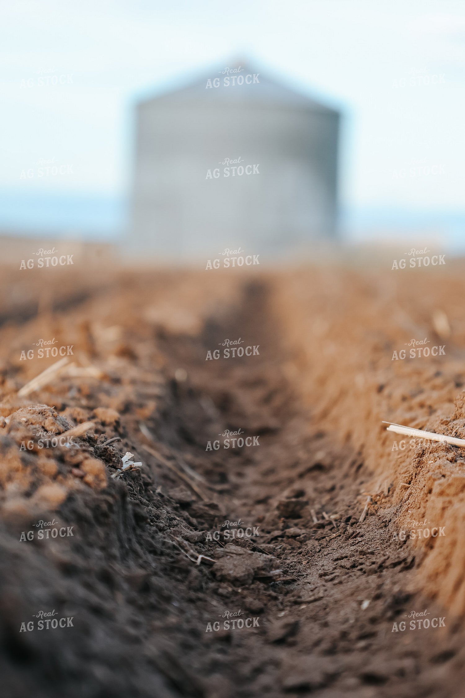 Field Furrow 187023