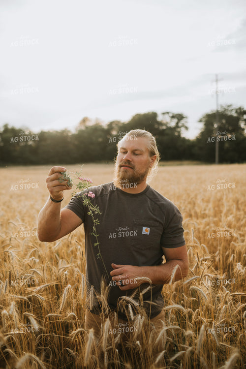 Farmer in Rye Field 5974