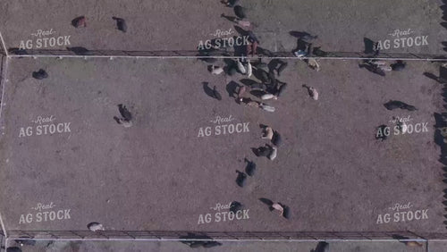 Overhead of Feedyard 239048