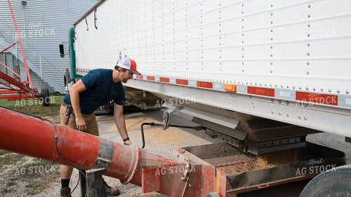 Farmer Loading Bin 26253