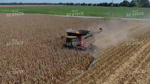 Corn Harvest 79499