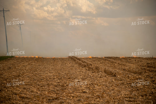 Corn Field on Fire 25841