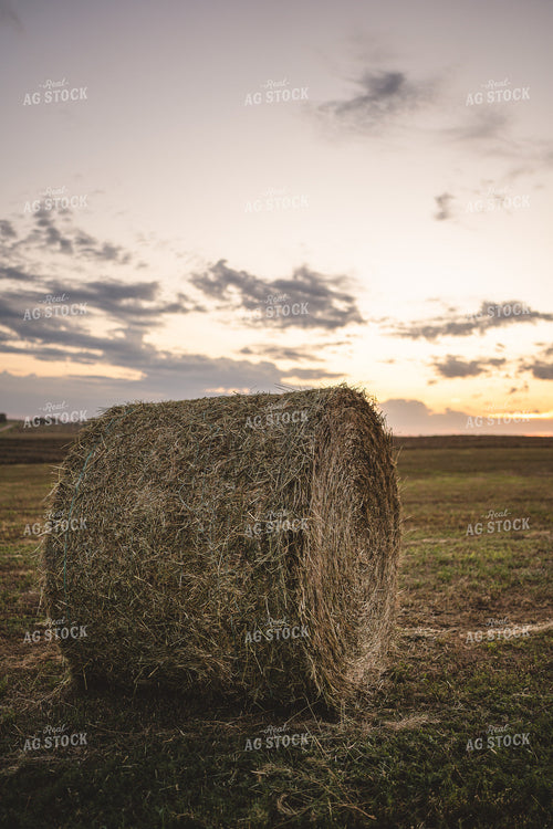 Hay Bale 196061