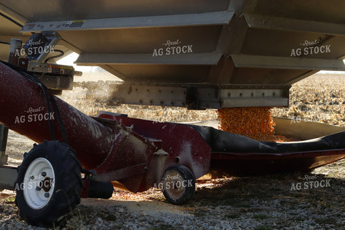 Dumping Corn 109121