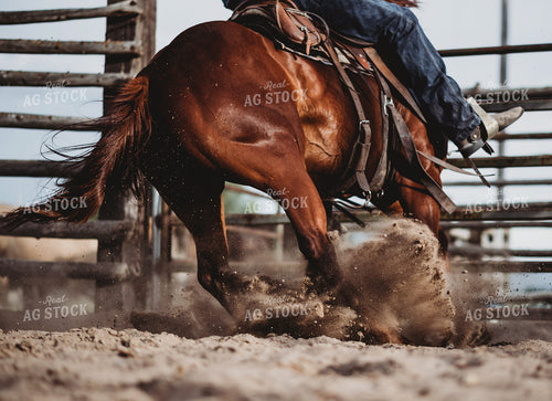 Rancher on Horseback 54011
