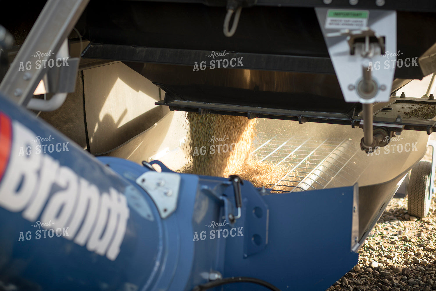 Unloading Grain 135128