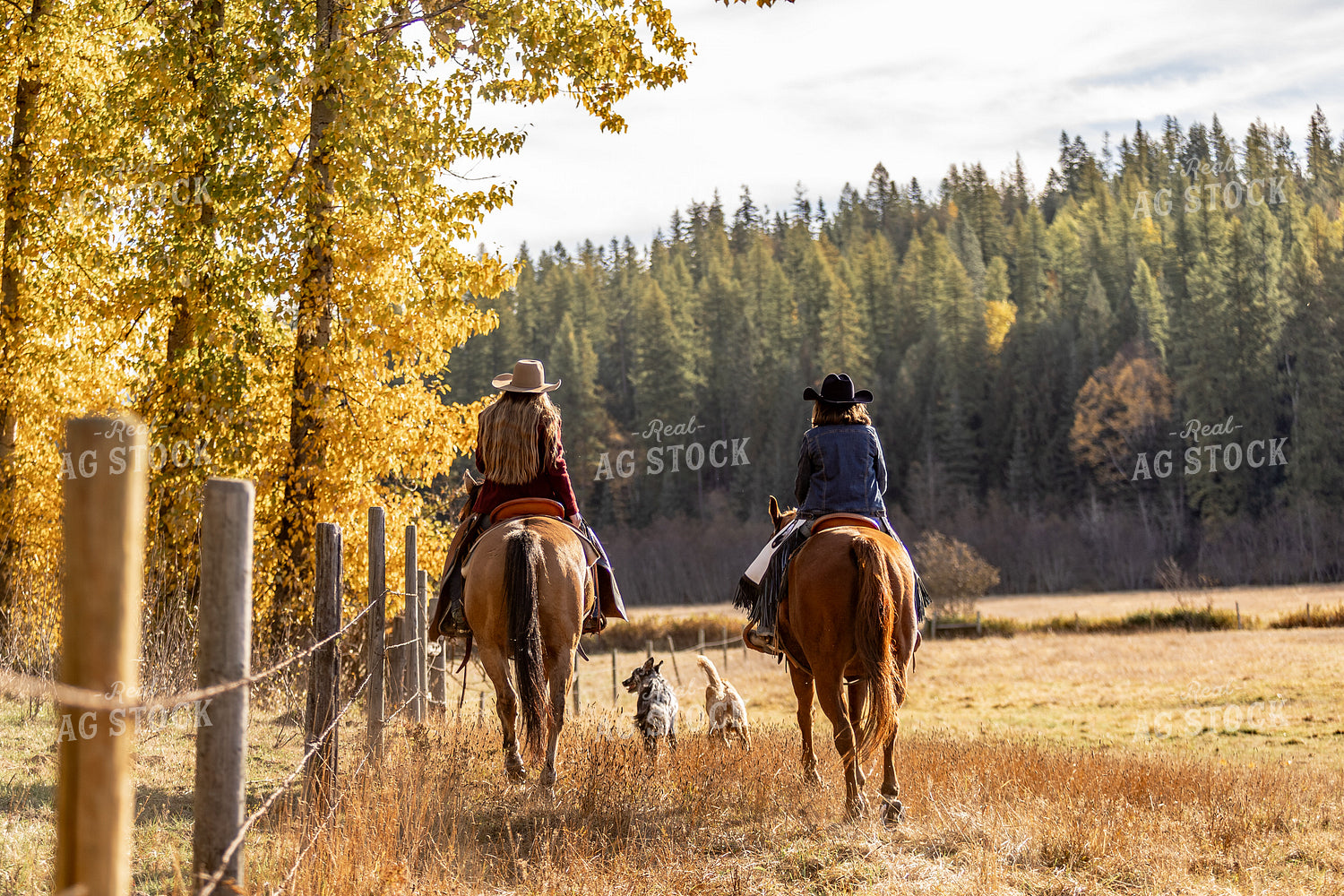 Cowgirls on Horseback 188160