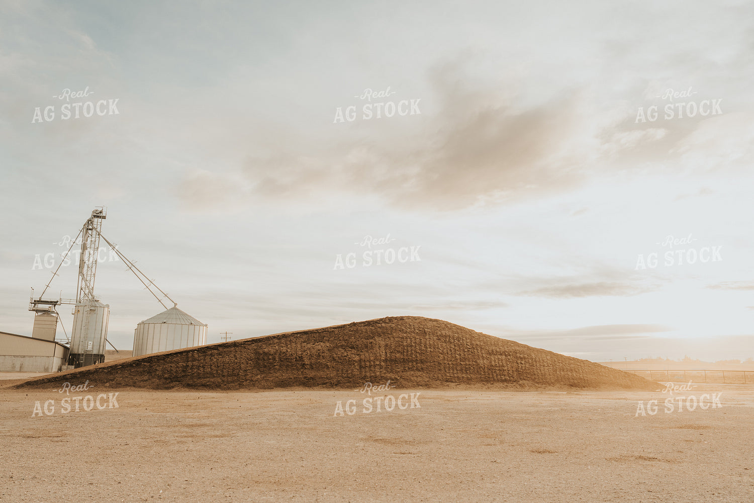 Uncovered Silage Pile 61258