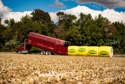 Loading Cotton Modules 136148