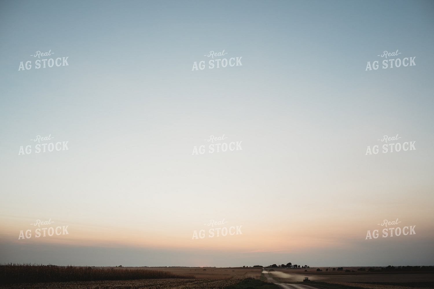 Corn Field at Dusk 3386