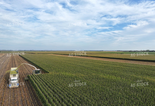 Aerial of Corn Silage Harvest 141389