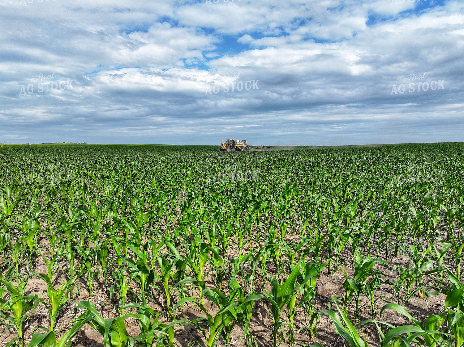 Spraying Corn 141307
