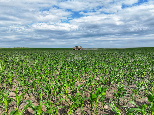 Spraying Corn 141307