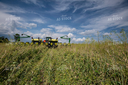 Planting into Cover Crops 168058