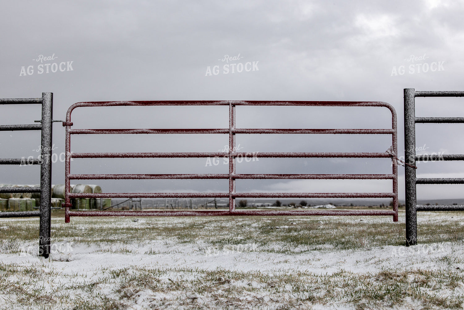 Snowy Gate 304087