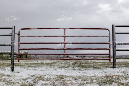 Snowy Gate 304087