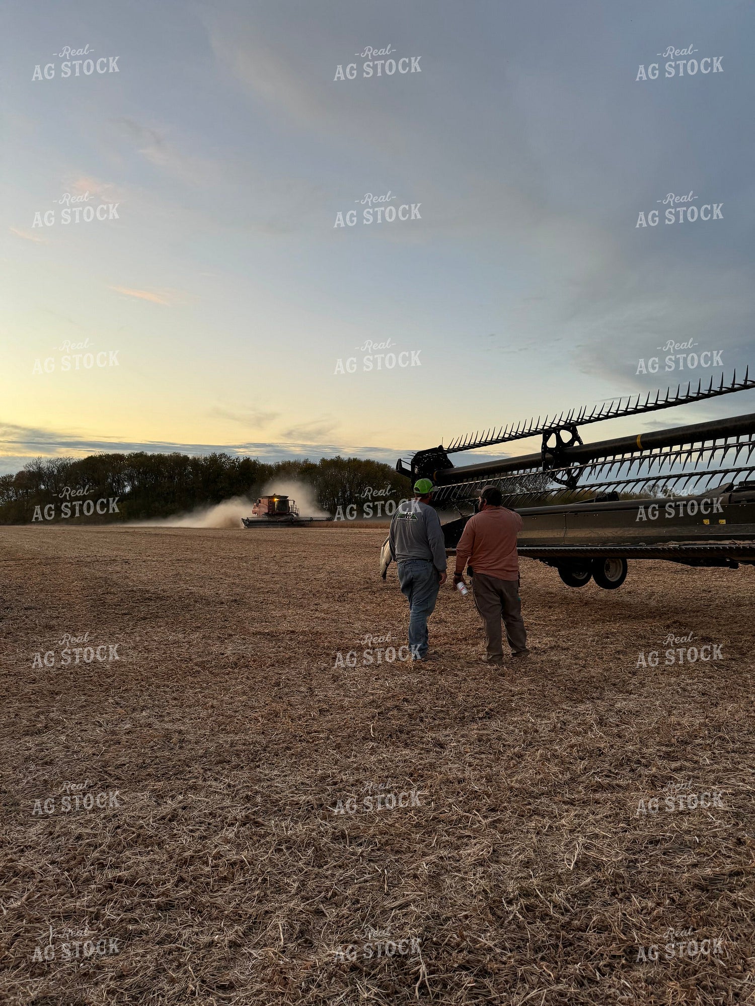 Farmers Fixing Combine Head 228004
