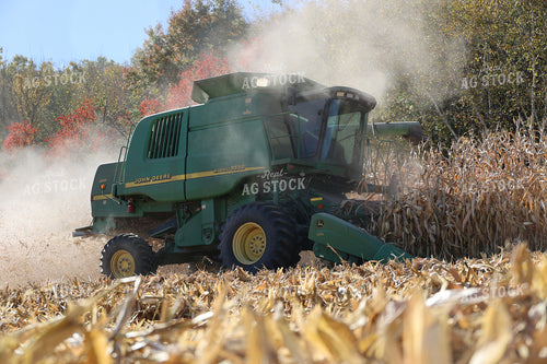 Corn Harvest 194026