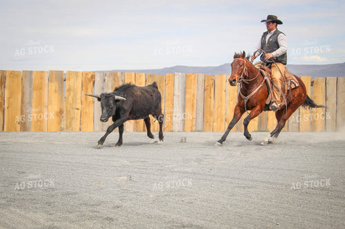 Male Rancher on Horse Chasing Cow 78061