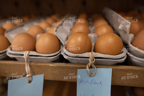 Eggs 270094