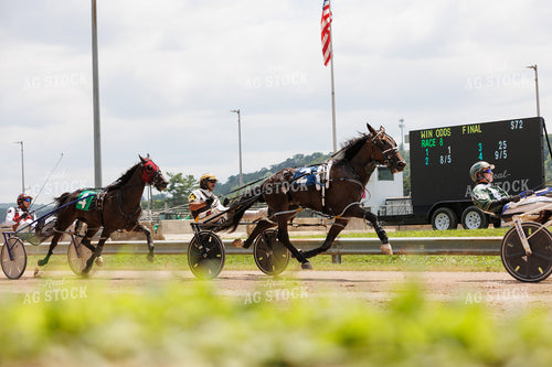 Harness Racing 52934