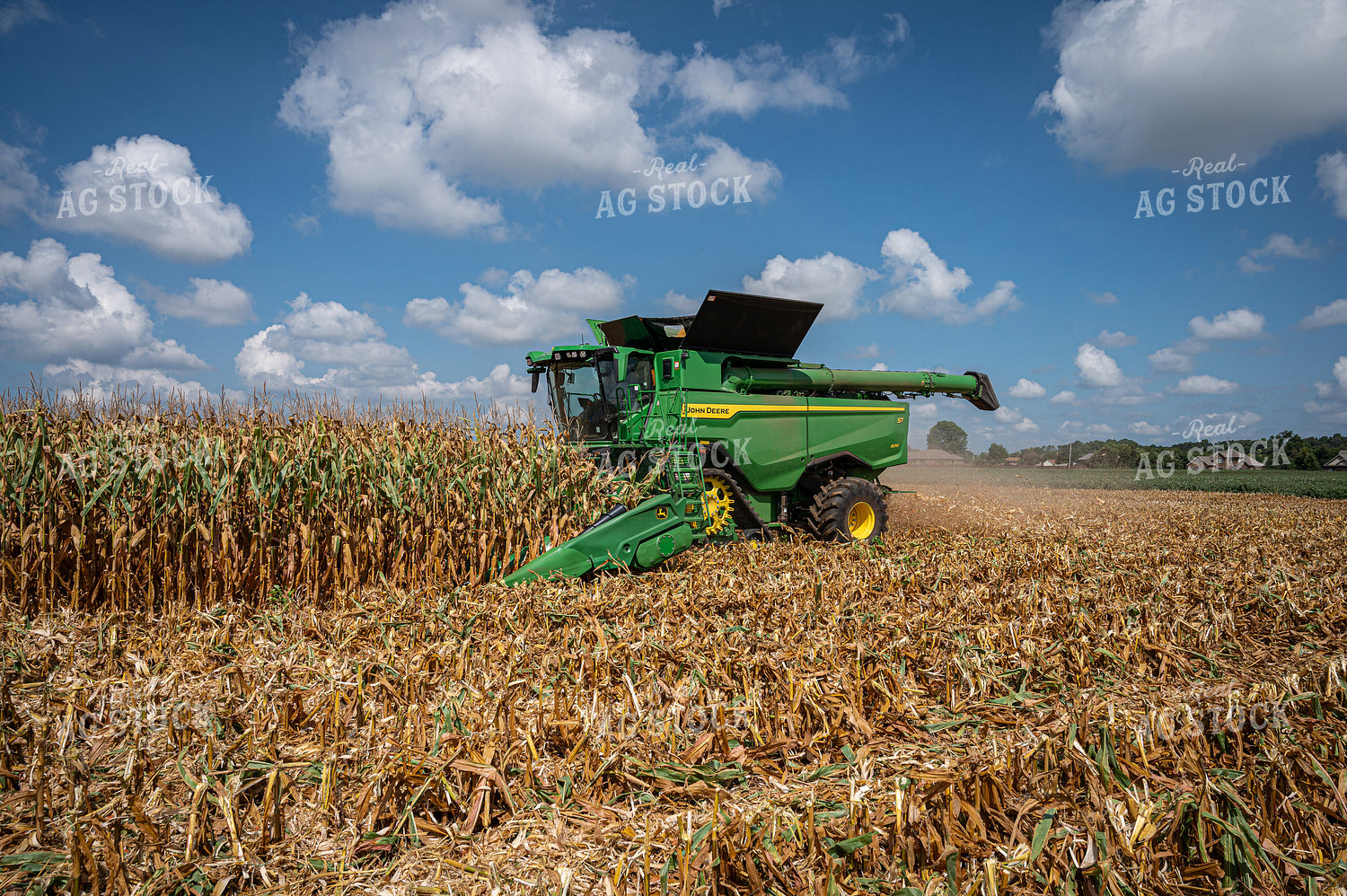 Corn Harvest 149145