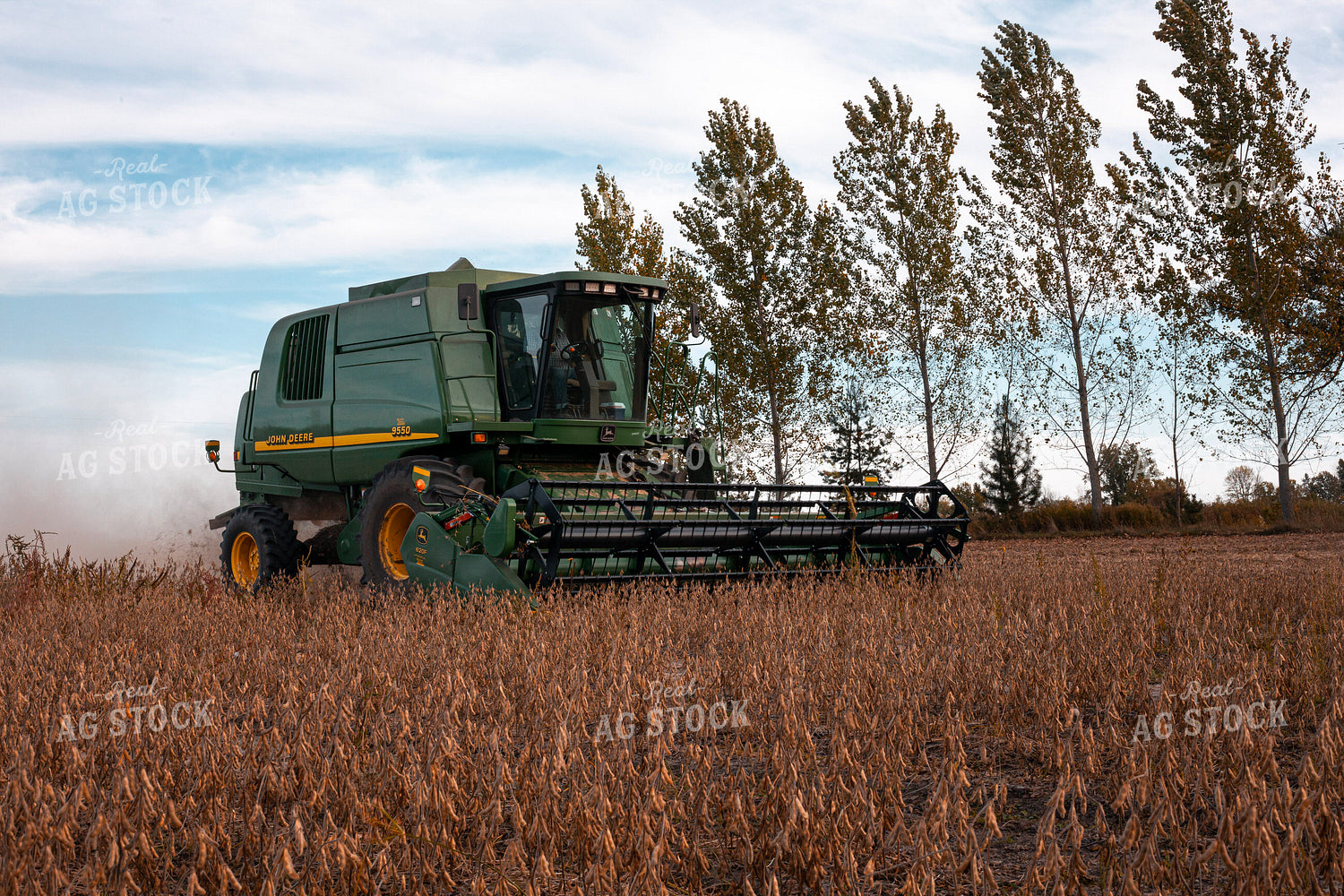 Soybean Harvest 132235