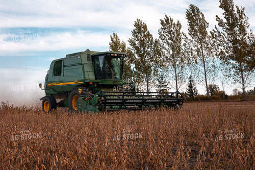 Soybean Harvest 132235