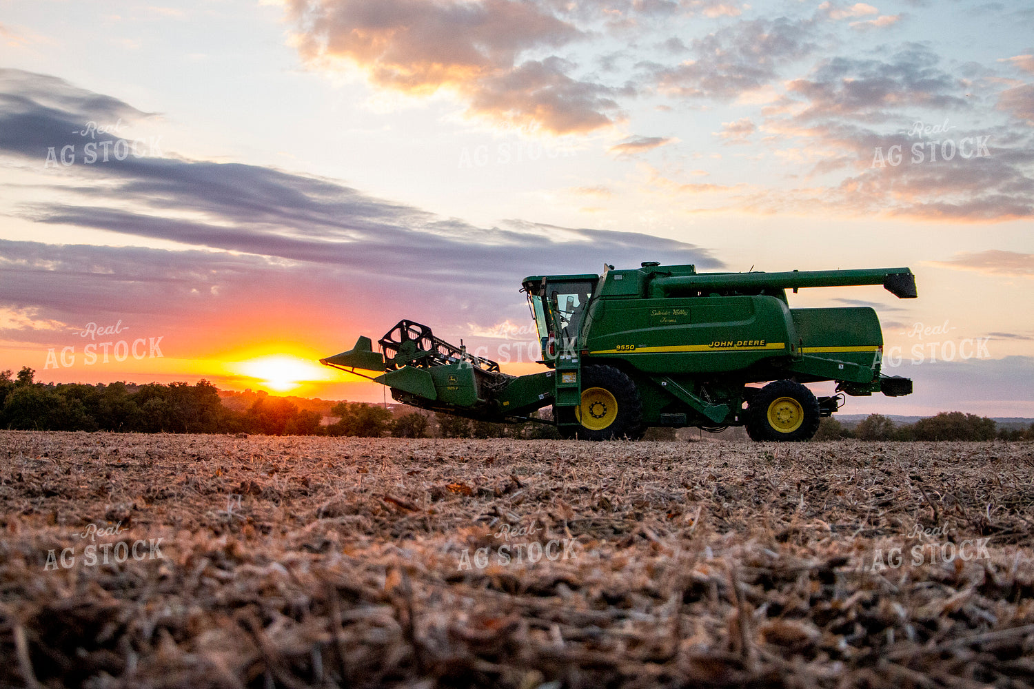Soybean Harvest 157002