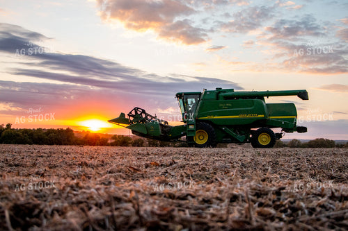 Soybean Harvest 157002