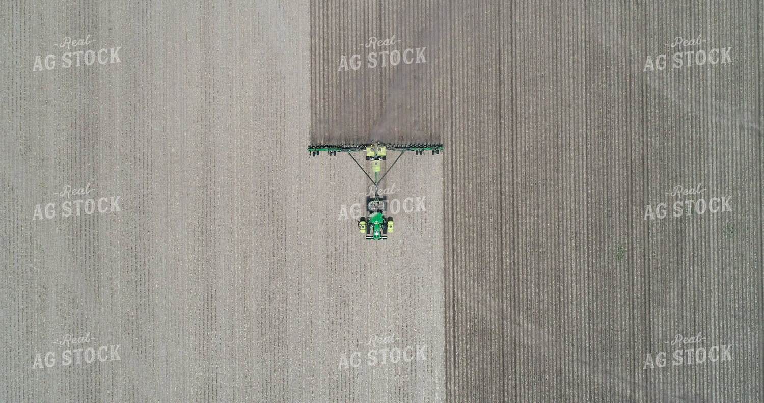 Planting 167004
