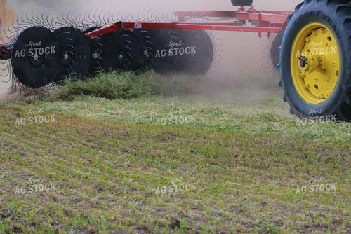 Raking Hay 82122