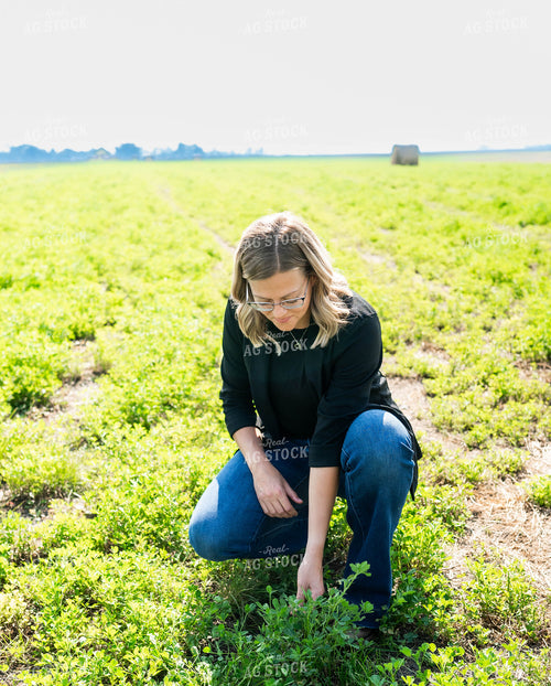 Checking Field 185065