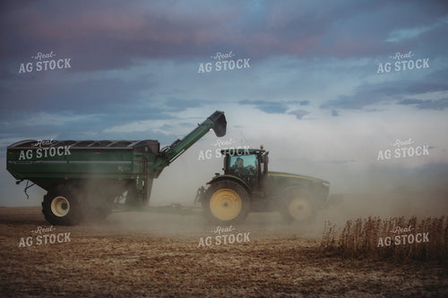 Grain Cart in Soybean Field at Dusk 3482