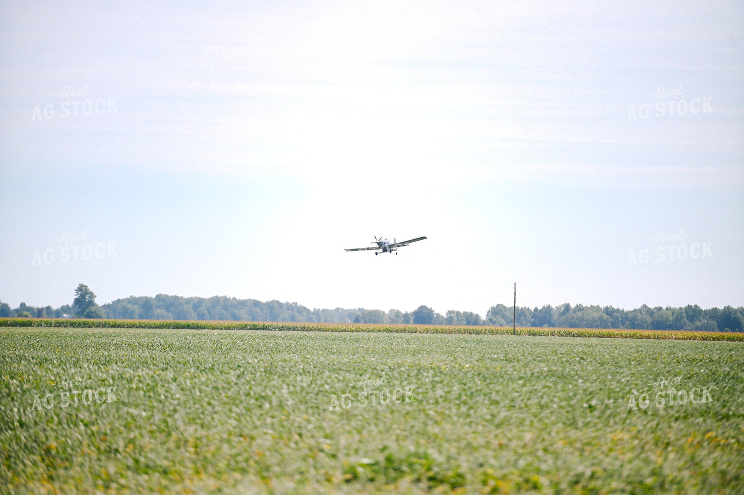 Crop Duster 90140