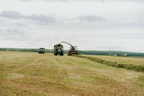 Silage Harvest 118017