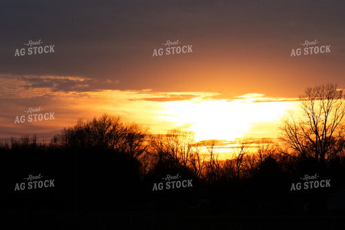 Rural Sunset 300009