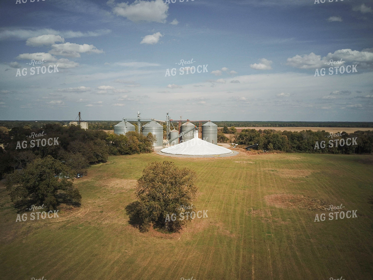 Grain Elevator 79156