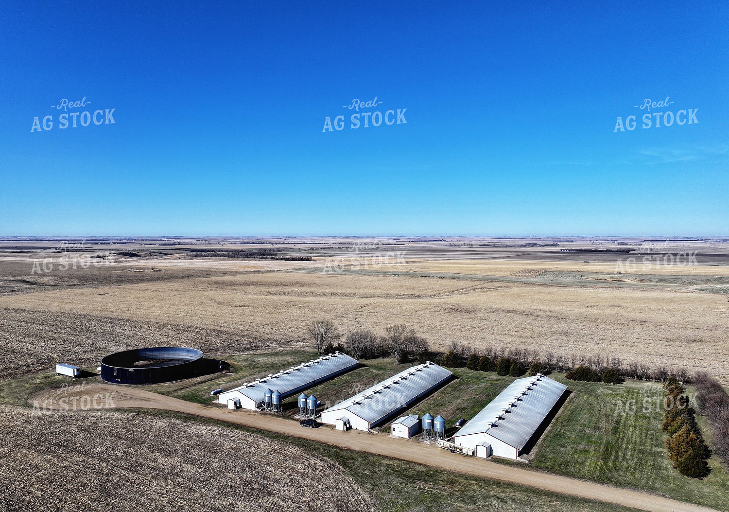 Aerial of Pig Barns 141238