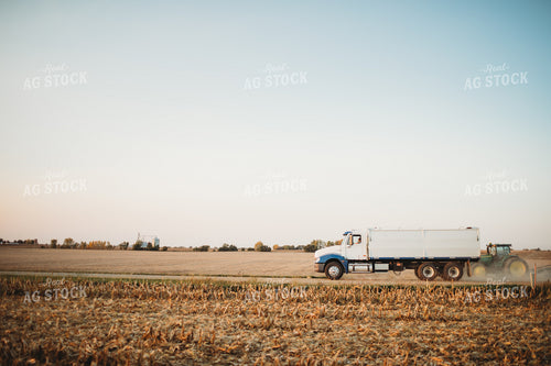 Tandem Grain Truck 3429
