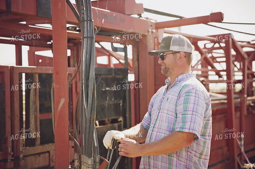 Rancher Working Cattle 127074